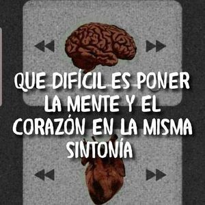 Meet your Posher, Mario esmir